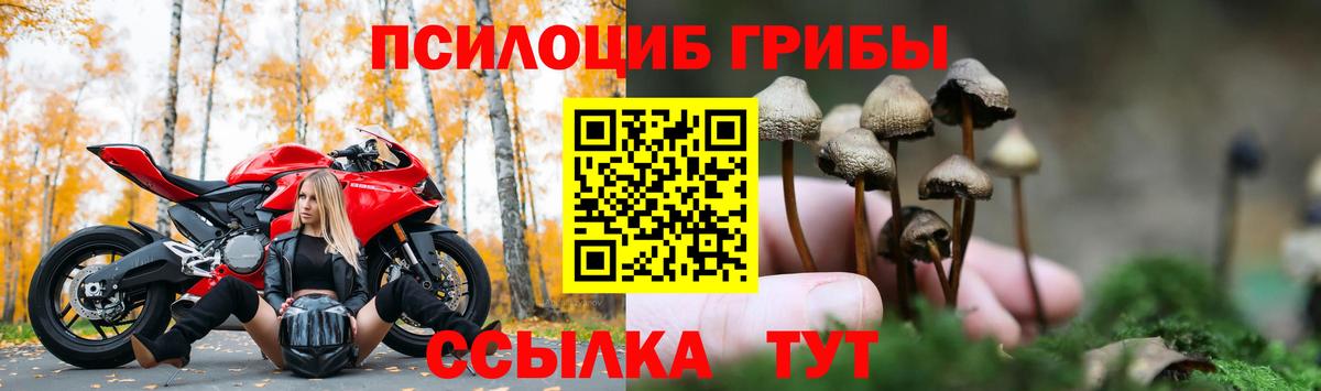 Галлюциногенные грибы GOLDEN TEACHER  Псилоцибиновые грибы GOLDEN TEACHER  как найти   Вход с VPN  Всеволожск 