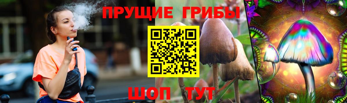 Галлюциногенные грибы Psilocybine cubensis Всеволожск